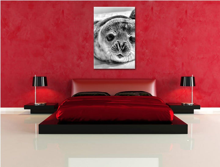 Pixxprint Süsses Robben Baby als Leinwandbild/Grösse: 120x80 cm/Wandbild/Kunstdruck/fertig bespannt,