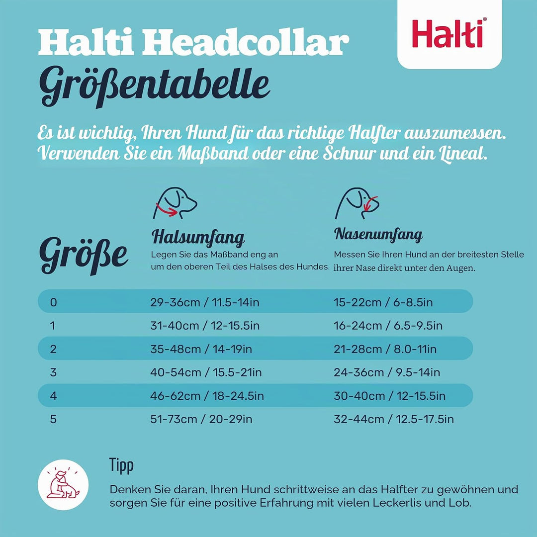 Halti Kopfhalsband und Trainingsleine Kombi-Pack, stoppt das Ziehen des Hundes auf Spaziergängen, be