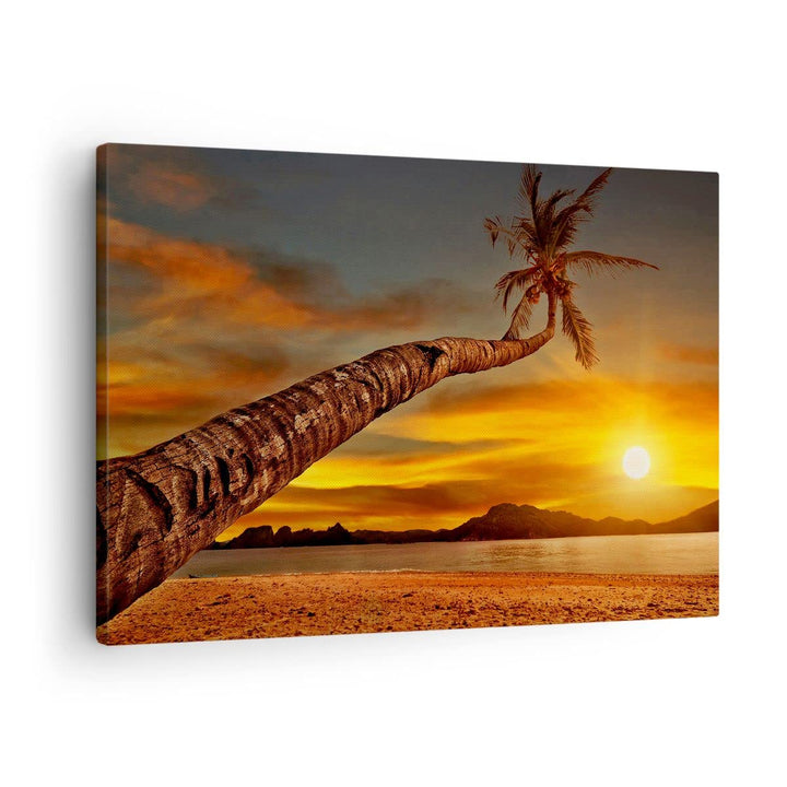 ARTTOR Bilder auf Leinwand Palme Landschaft Sonne Leinwandbild 70x50cm Wandbilder Dekoration Wohnzim