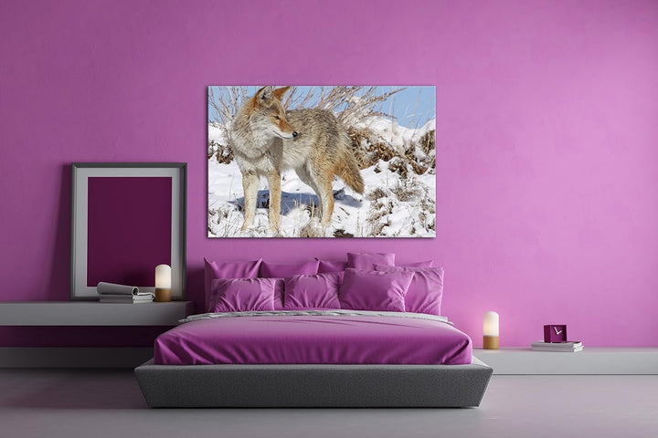 deyoli Stolzer Wolf in Winterlandschaft Format: 80x60 als Leinwandbild, Motiv fertig gerahmt auf Ech