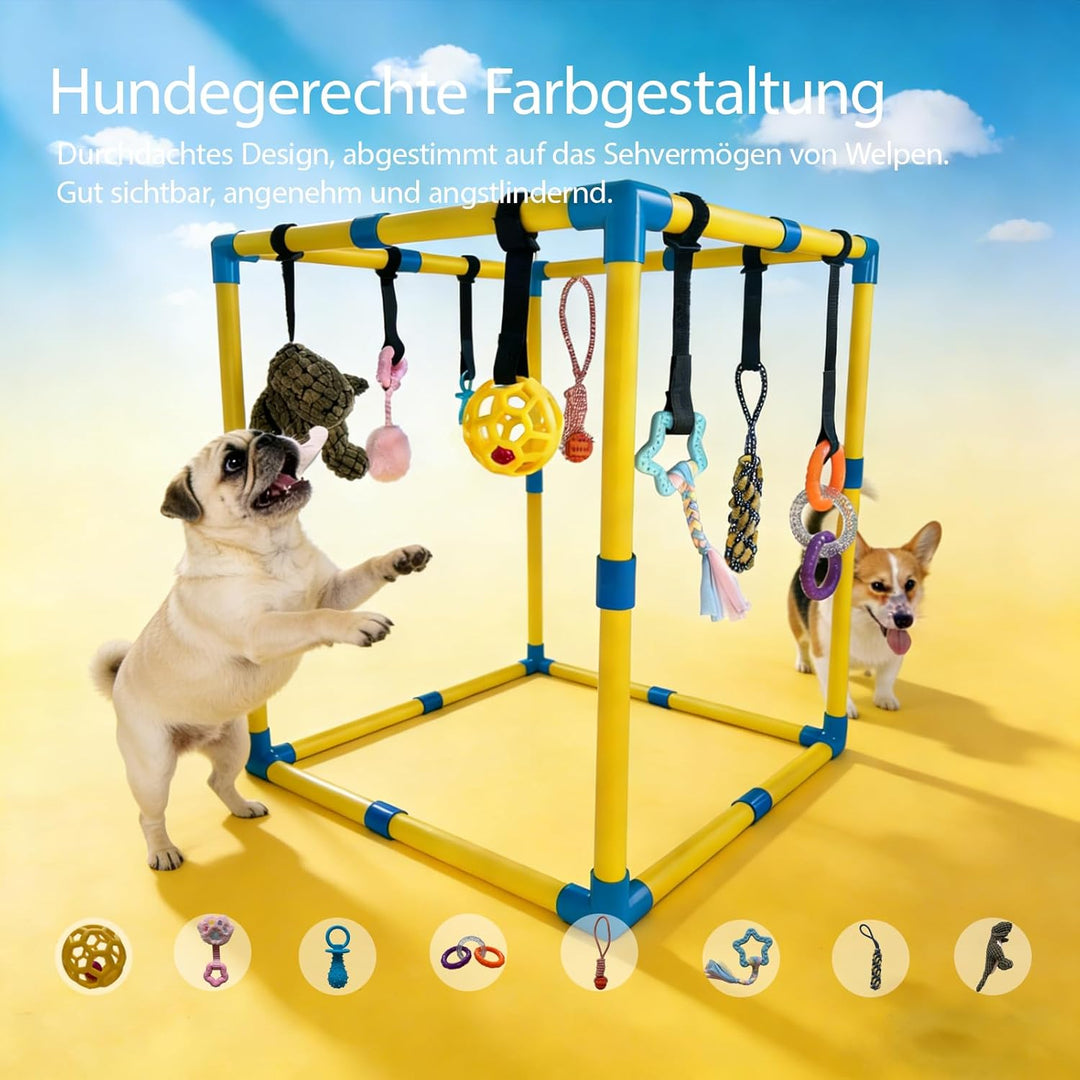 Welpenspielstudio, mit 9 interaktiven Hundespielzeugen, Welpenanreicherungsspielzeug, um sie zu besc