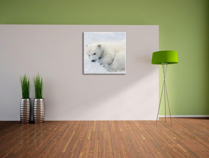 Pixxprint Süsser junger Eisbär im Schnee, Format: 70x70 auf Leinwand, 70x70