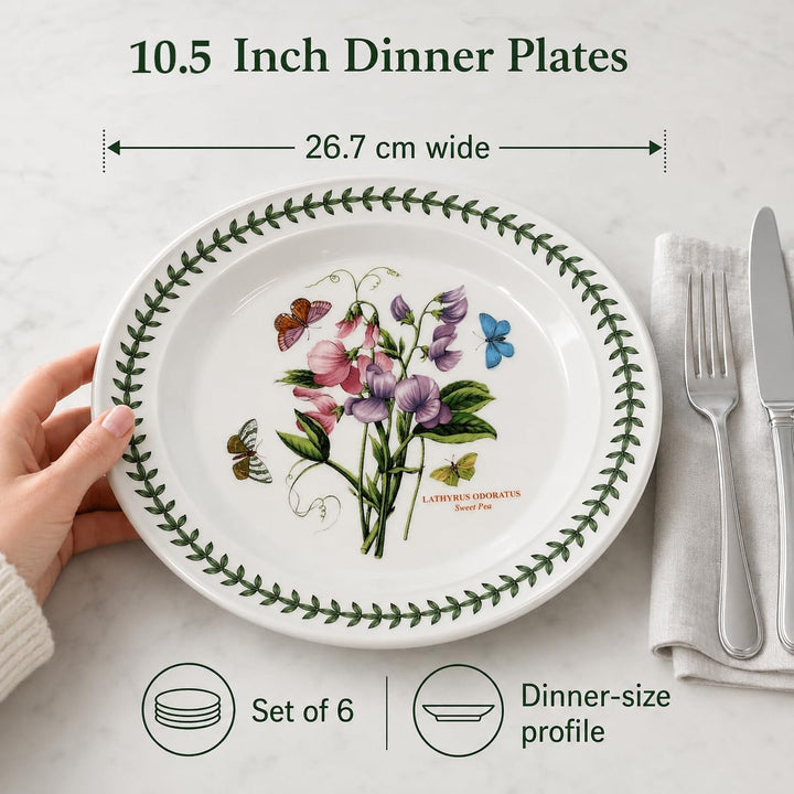 Portmeirion Botanic Garden 25,4 cm Abendessen Teller – Set von 6 Rose, Rose