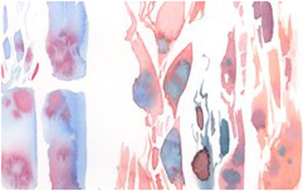 Princeton Künstlerpinsel Neptune, Pinsel für Aquarell-Serie 4750, Quill Synthetisches Eichhörnchen,