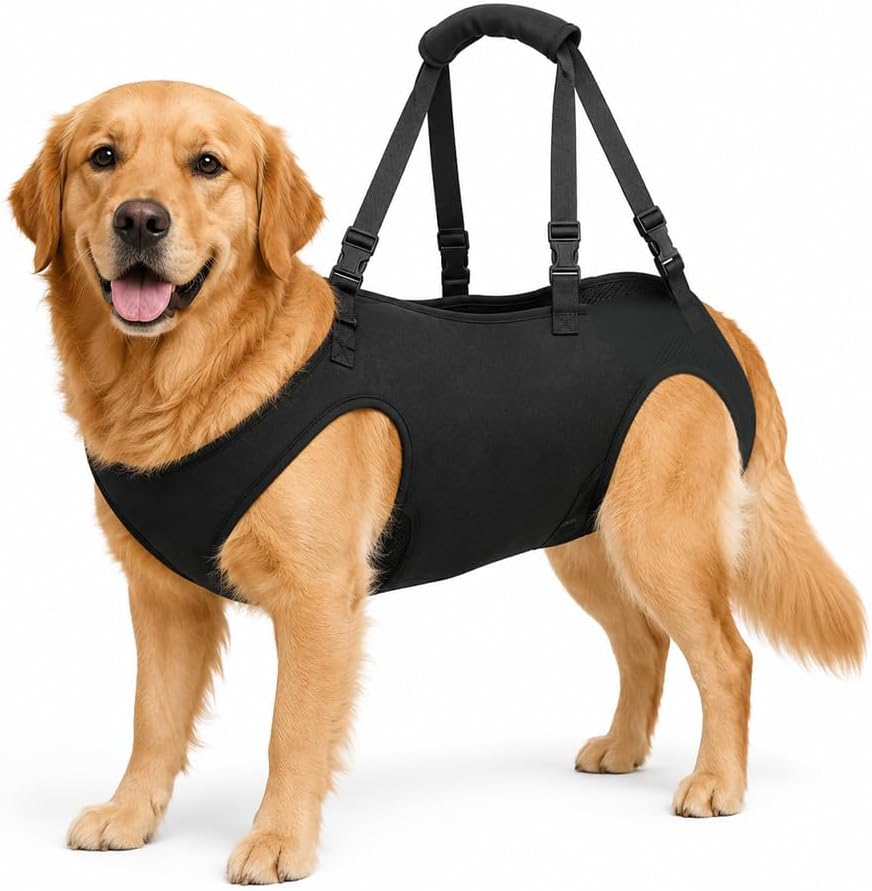 Tragehilfe Hund, Hunde Tragehilfe, Tragegurt Hund mit Verstellbaren Griffen | Tragegeschirr Hund, Tr