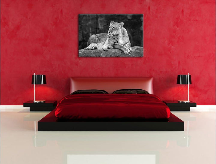 Pixxprint Löwe kuschelt mit seinem Löwenjungen Kunst B&W, Format: 100x70 auf Leinwand, XXL riesige B