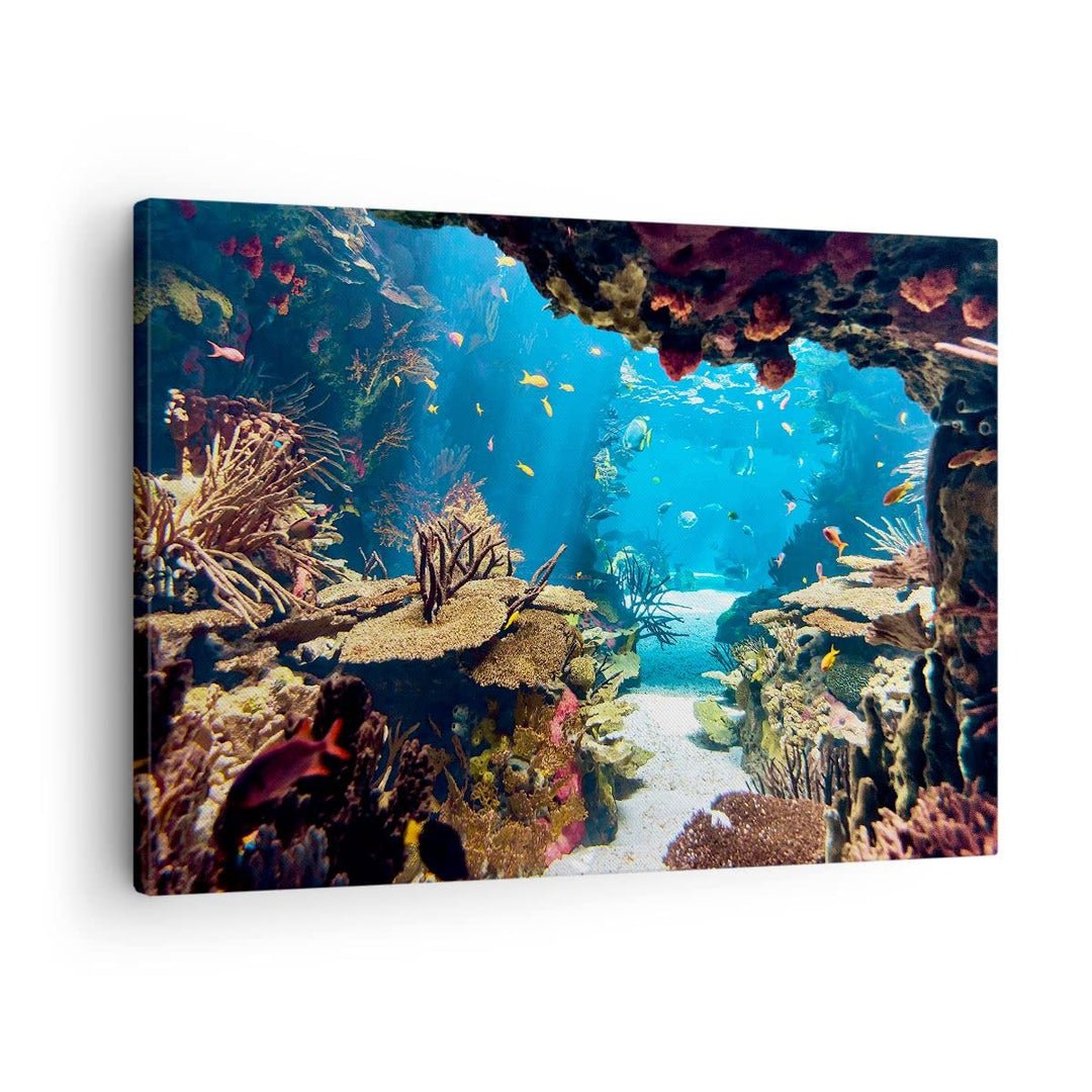 Bilder auf Leinwand Ozean Riff Fische Koralle Leinwandbild 70x50cm Wandbilder Dekoration Wohnzimmer