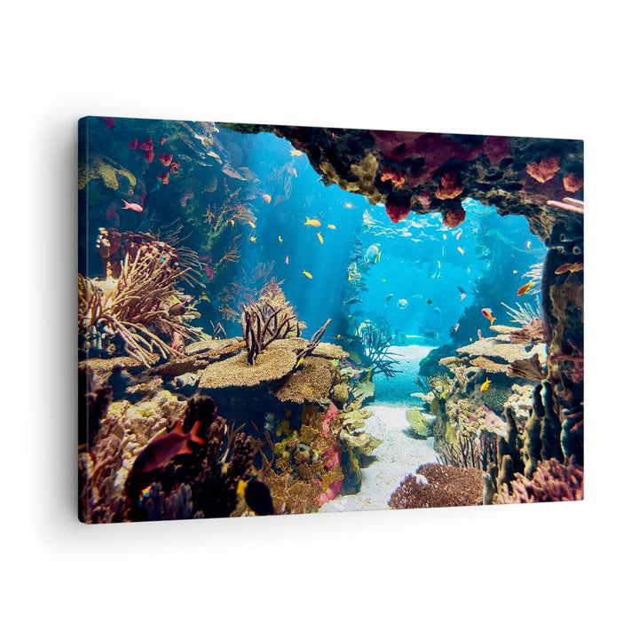 Bilder auf Leinwand Ozean Riff Fische Koralle Leinwandbild 70x50cm Wandbilder Dekoration Wohnzimmer