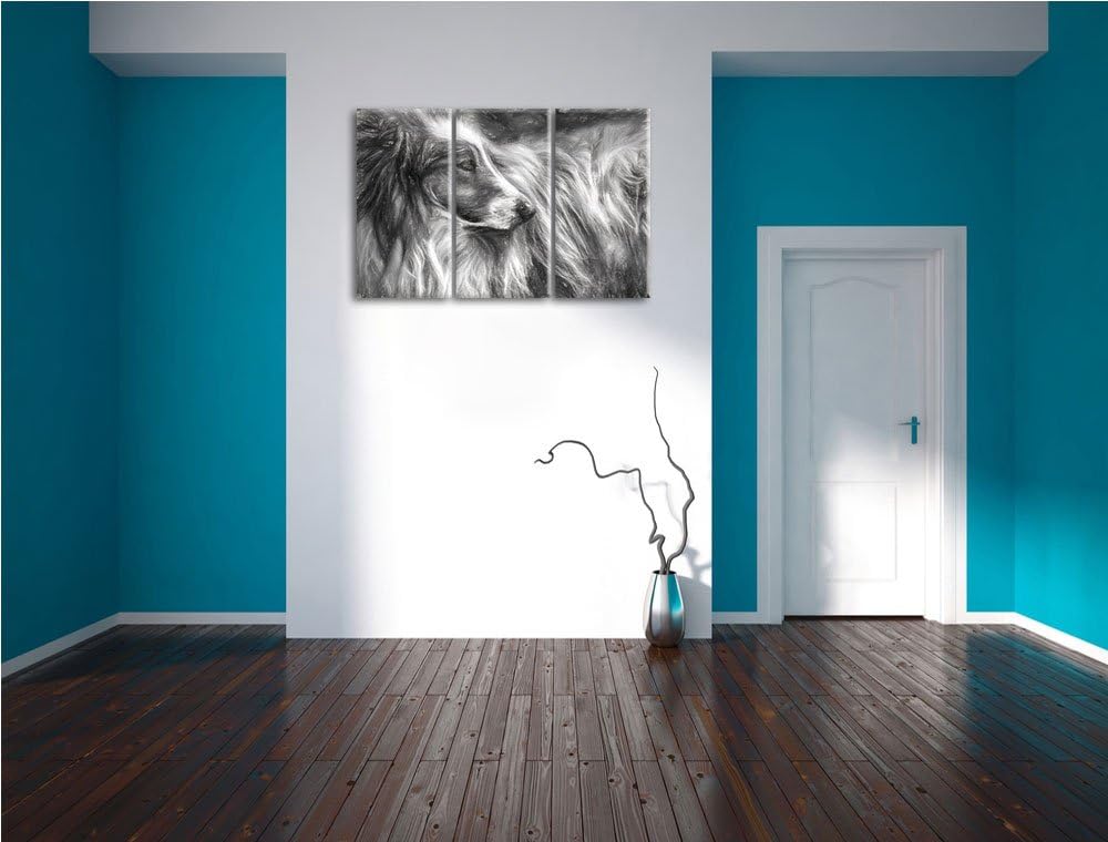 schöner Collie im Seitenprofil NewArt 3-Teiler Leinwandbild 120x80 Bild auf Leinwand, XXL riesige Bi