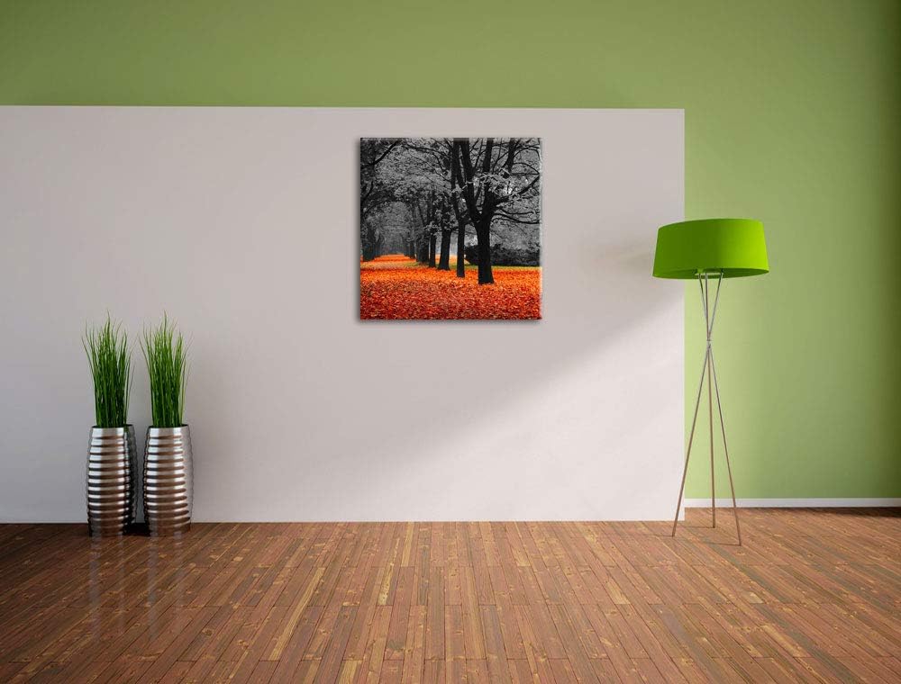 Pixxprint schöner Waldweg im Herbst schwarz/weiss, Format: 70x70 auf Leinwand, riesige Bilder fertig