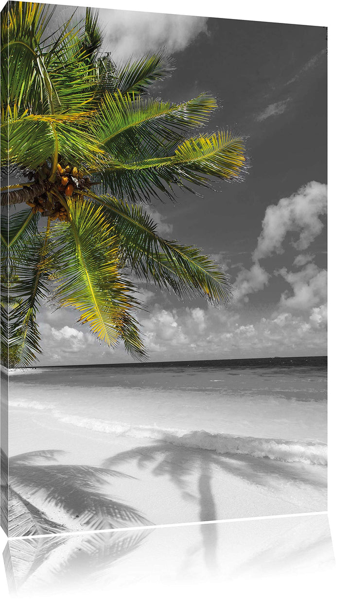 Pixxprint riesige Palem über Strand schwarz/weiss, Format: 80x120 auf hochkantiges Leinwand, 80x120