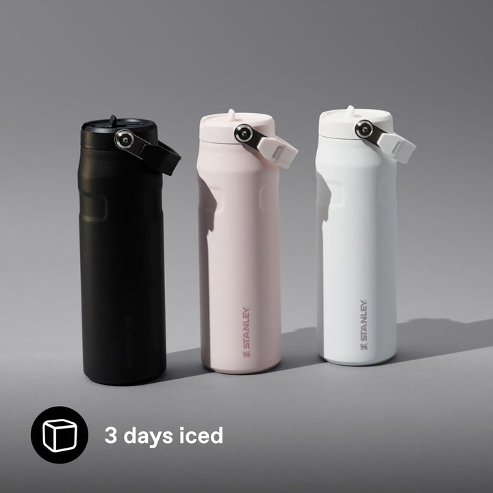 Stanley Flip Straw 2.0 Trinkflasche mit Strohhalm 0.7L - Thermobecher Kühlt 10 Stunden - 3 Tage Eisg