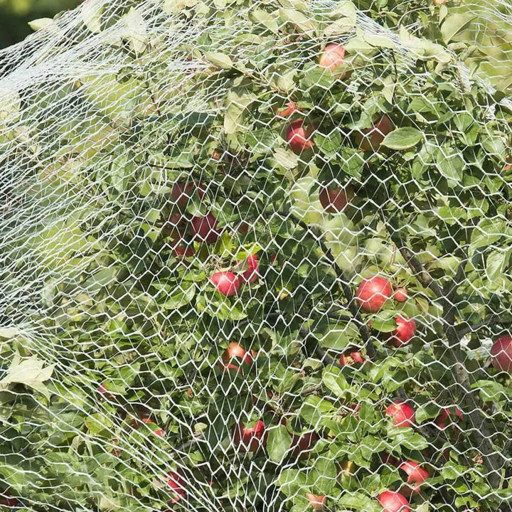 vogelschutznetz engmaschig Vogelnetz vogelnetze vogelschutznetz 15x15m katzennetz für Balkon ohne Bo