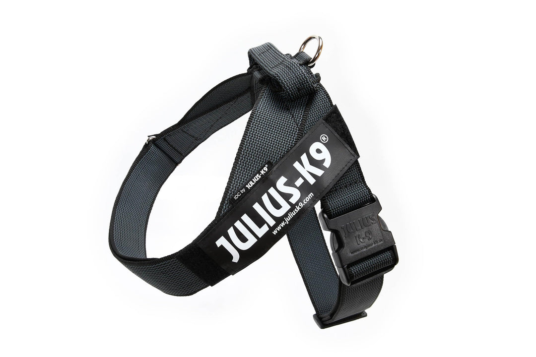 Julius-K9, Color & Gray, Beltgeschirr 2XL / 3 schwarz-grau, 2XL / 3 schwarz-grau