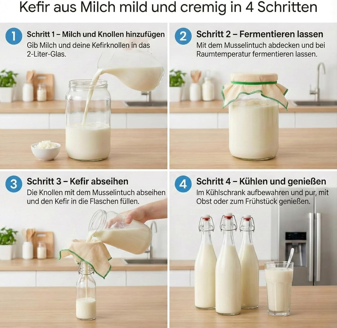 Kefir & Kombucha Starter Set | 2L Glasgefäss | 3 hermetische 750ml Bügelflaschen | 10cm Trichter & M
