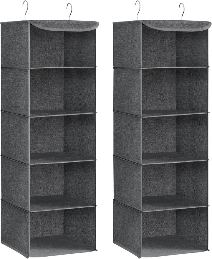 SONGMICS Hängeorganizer, 2er Set, Schrank-Organizer, Hängeregal, Hängeaufbewahrung, faltbar und plat