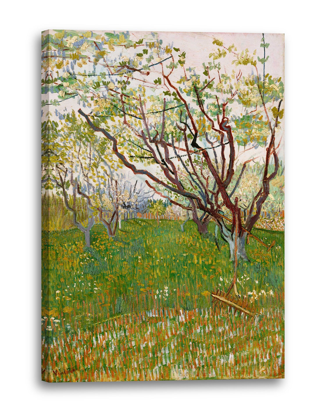 Printed Paintings Leinwand (40x60cm): Vincent Van Gogh - Der blühende Obstgarten 40x60 cm, 40x60 cm