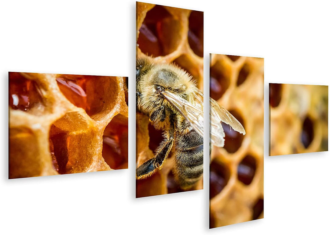 islandburner Bild auf Leinwand Bienen In Einem Bienenstock Auf Bienenwabe Bilder Wandbilder Poster L