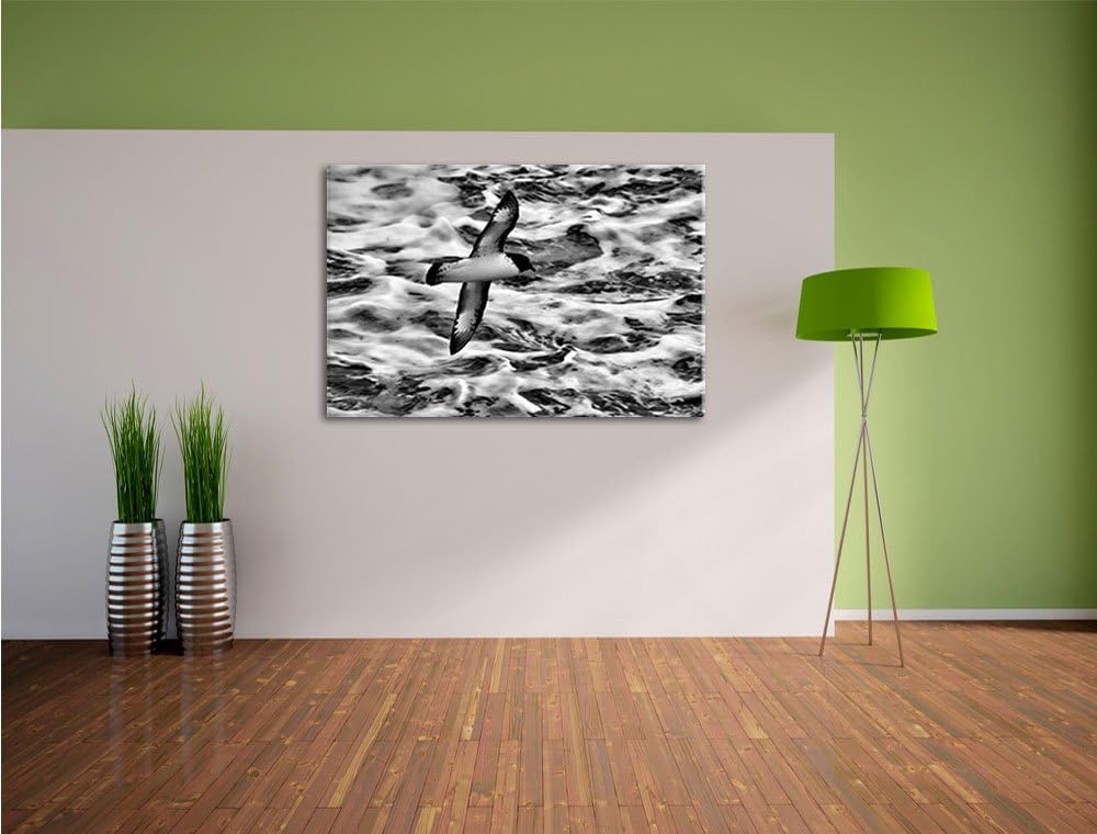 Pixxprint prächtige Möwe fliegt über Wasser als Leinwandbild/Grösse: 100x70 / Wandbild/Kunstdruck/fe