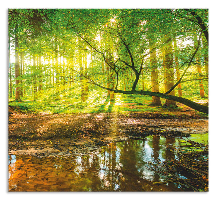 ARTland Spritzschutz Küche aus Alu für Herd Spüle 60x55 cm (BxH) Küchenrückwand mit Motiv Natur Land