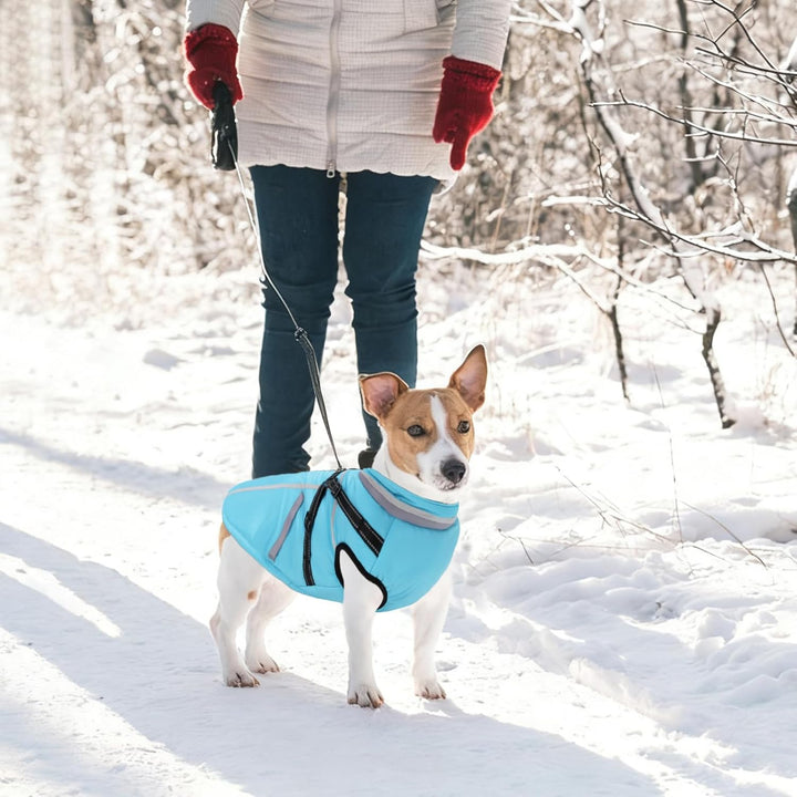 FEimaX Hundemantel Wasserdicht Winddichte Winter Fleece Hundejacke mit Geschirr Hund Wintermantel Wa
