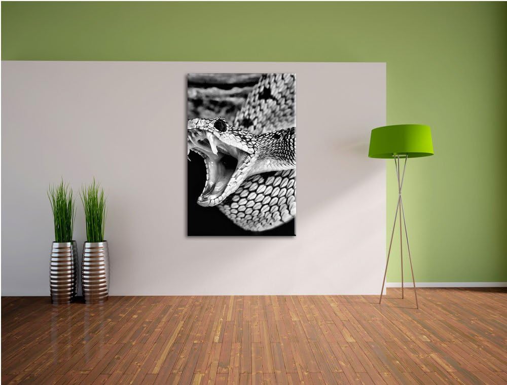 Pixxprint Giftige grüne Schlange als Leinwandbild | Grösse: 100x70 | Wandbild| Kunstdruck | fertig b