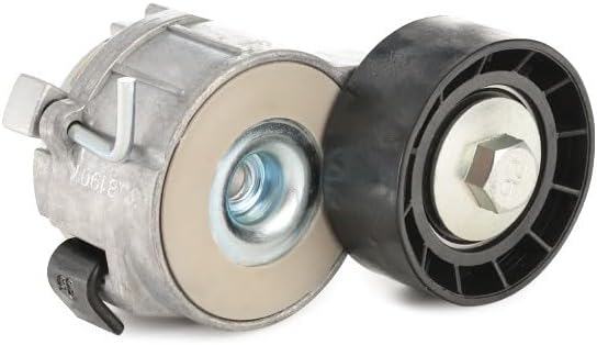 SKF VKM 33161 Spannrollensatz für Nebentrieb