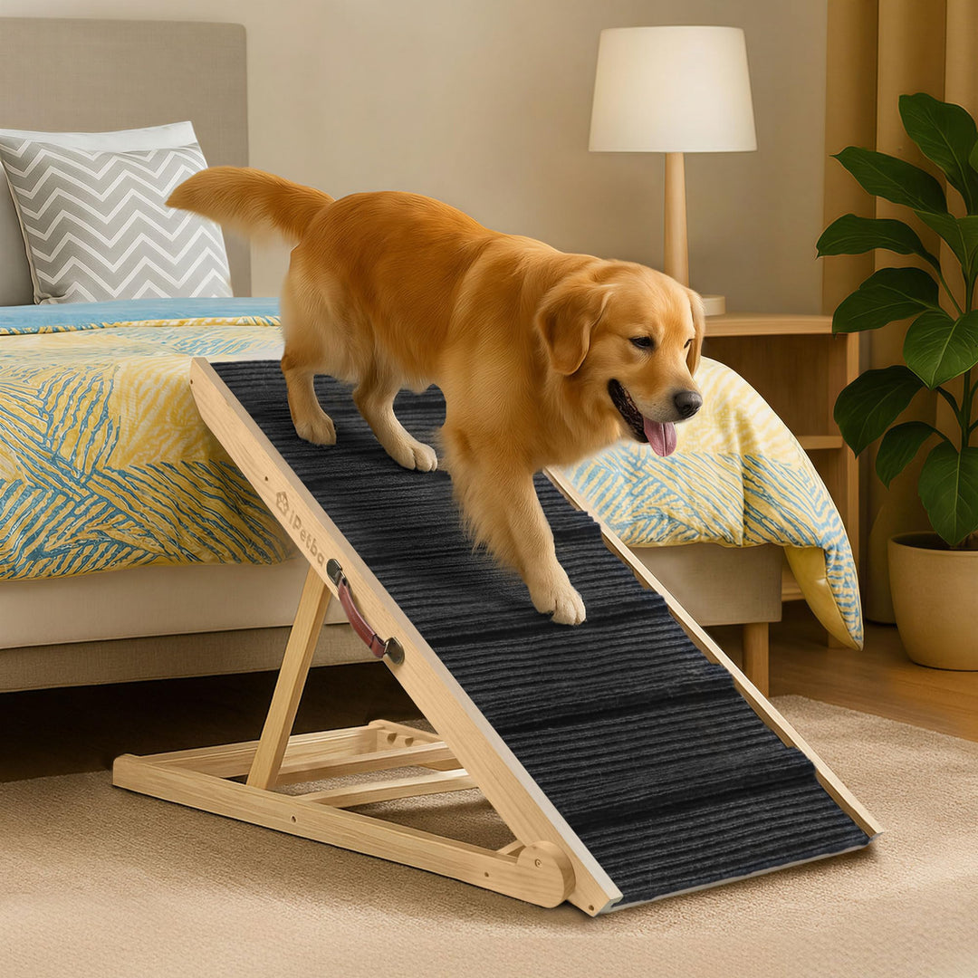 Hunderampe Bett Sofa für Kleine und Grosse Hunde Klappbar Rampe Hund Katzen Einstellbar 30-60 cm, bi