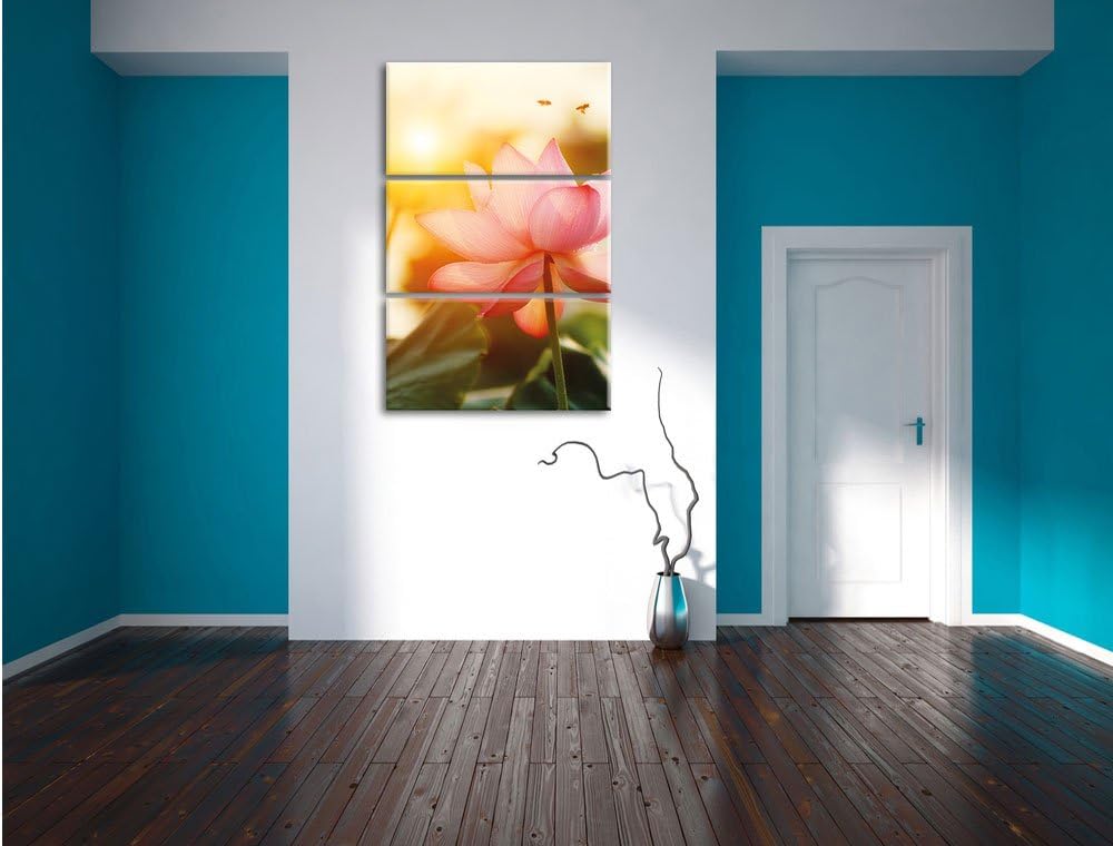 Pixxprint Lotus im Abendlicht als Leinwandbild | Grösse: 3 Teilig (120x80) | Wandbild| Kunstdruck |