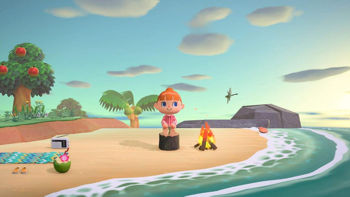 Nintendo Animal Crossing: New Horizons - [Nintendo Switch] Single, Single