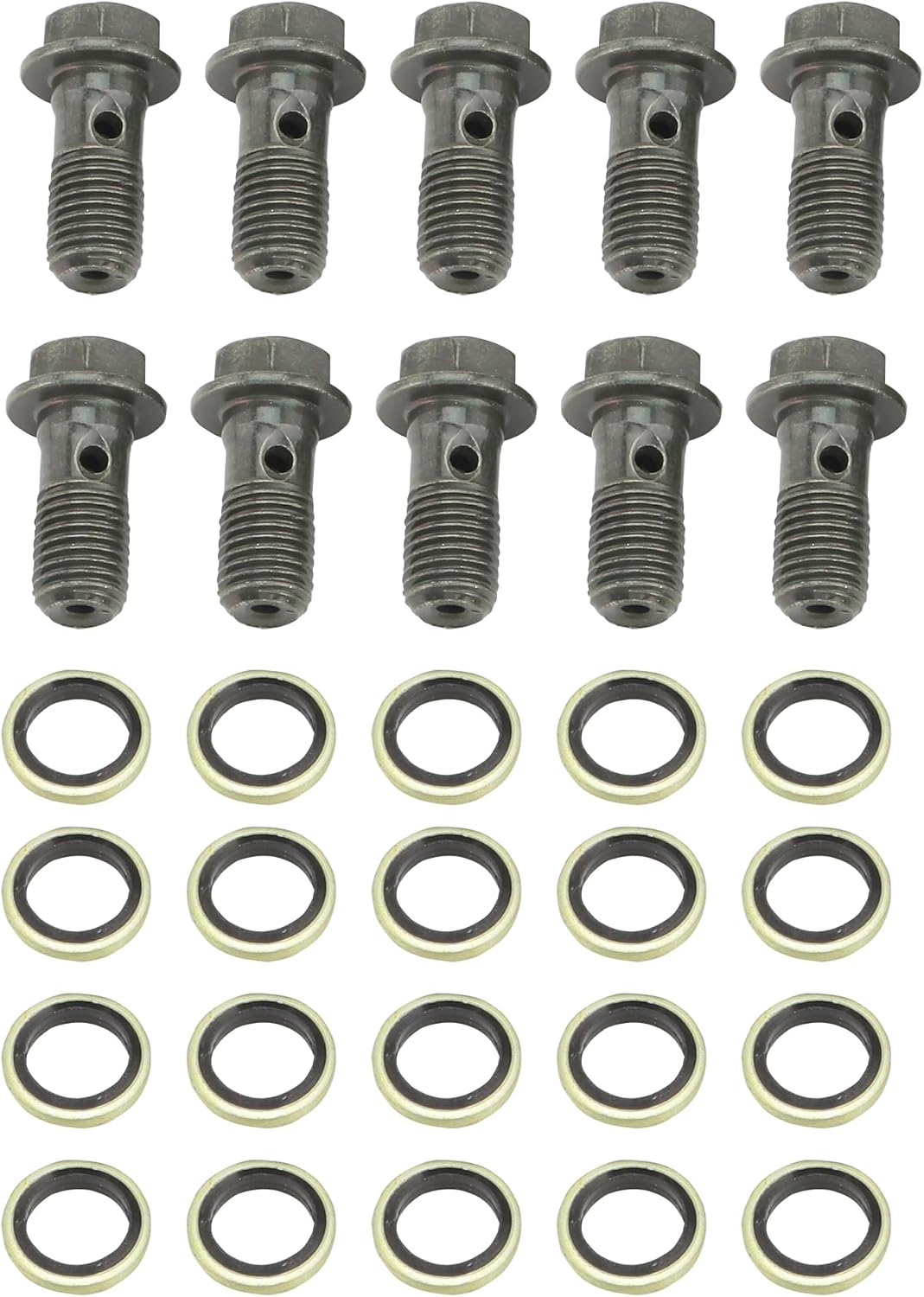 WOOSTAR Edelstahl M10 x 1,25 Hohlschrauben Bremsadapter mit M10 Kupfer Unterlegscheiben Packung mit