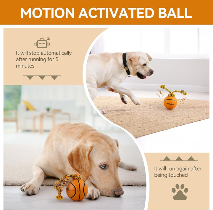 ALL FOR PAWS Interaktiver HundeBall, Beweglicher Hundeball mit LED-Lichtern, Hundespielzeug gegen La
