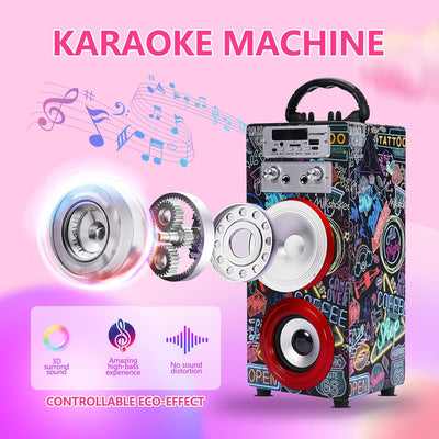 DYNASONIC Karaoke mit 2 Mikrofonen, tragbarer Karaoke-Maschine, Bluetooth-Lautsprecher, USB- und SD-