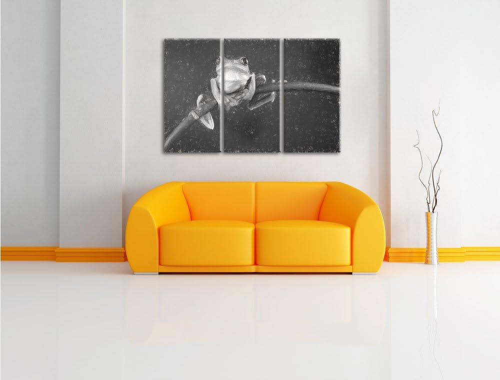 Pixxprint Baum-Frosch auf Bambus Kunst / 3-Teilig/Gesamtmass 120cm Leinwandbild bespannt auf Holzrah