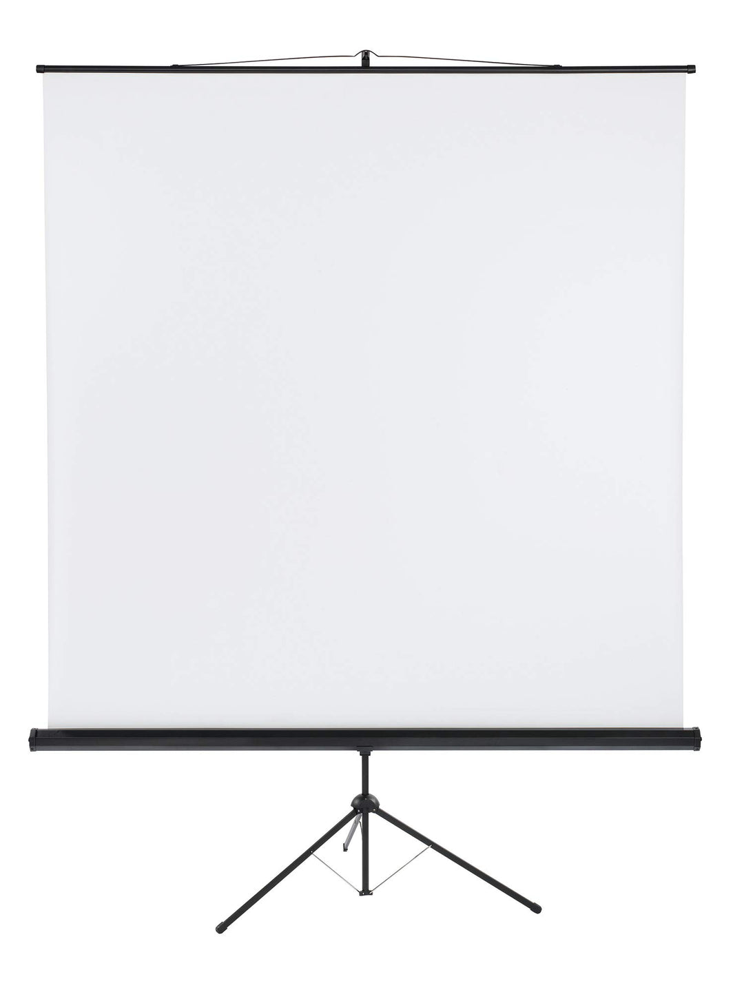 Franken LWST222 Stativleinwand X-tra beschichtetes Gewebetuch (220 x 220 cm) 220 x 220 cm Format 1:1