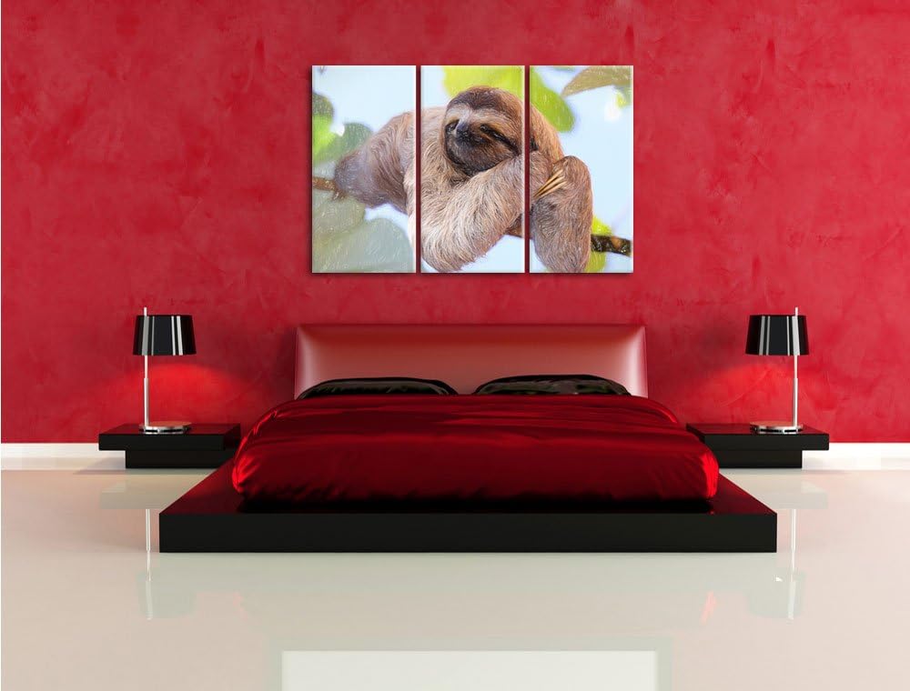 Pixxprint schönes Faultier hängt von AST Kunst Buntstift Effekt 3-Teiler Leinwandbild 120x80 Bild au