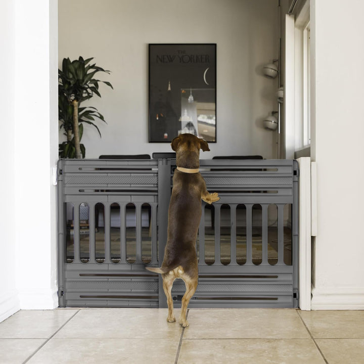 Iris Ohyama, Sicherheitsgitter, Kunststoff-Treppenabsperrung (PP) für Hunde, Katzen, B61 x T5 x H64