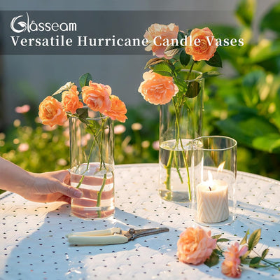 Glasseam Zylinder Vase Glas Klar, Blumenvase Modern Vasen Deko 6 Stück, 15/20/25cm Hoch Tulpenvase Z