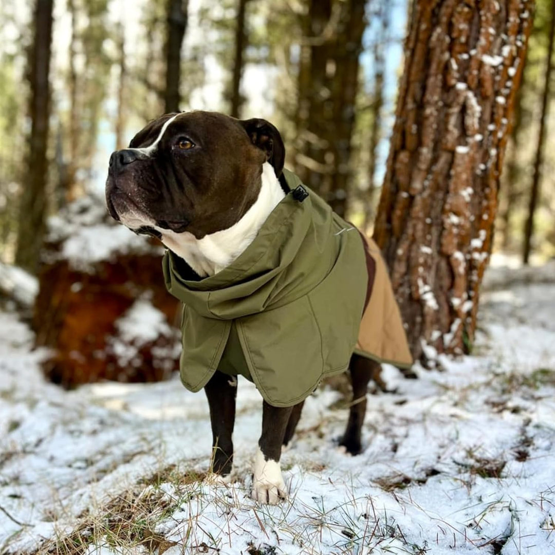 Spark Paws Hunderegenmantel, wasserdichte Winddichte Regenjacke, für kleine, mittlere, grosse und ex