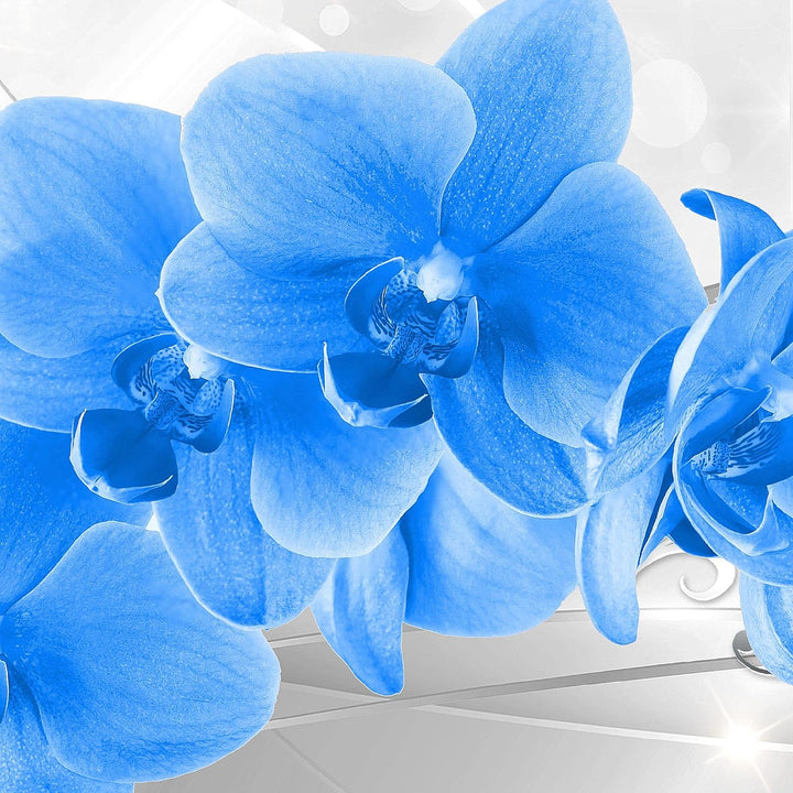 Runa Art Wandbilder Blumen Orchidee 5 Teilig Bild auf Vlies Leinwand Deko Wohnzimmer Silber Blau 210
