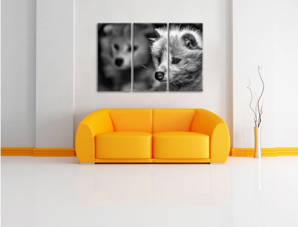 Pixxprint Polarfuchs in Höhle als Leinwandbild/Grösse: 3 Teilig (120x80) / Wandbild/Kunstdruck/ferti