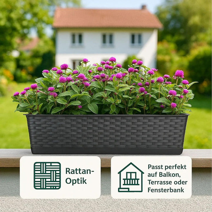 BigDean 3X Blumenkasten mit Untersetzer 80 cm lang Rattan-Optik anthrazit