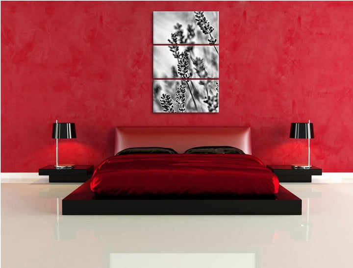 Pixxprint Lavendel als Leinwandbild/Grösse: 3 Teilig (120x80) cm/Wandbild/Kunstdruck/fertig bespannt