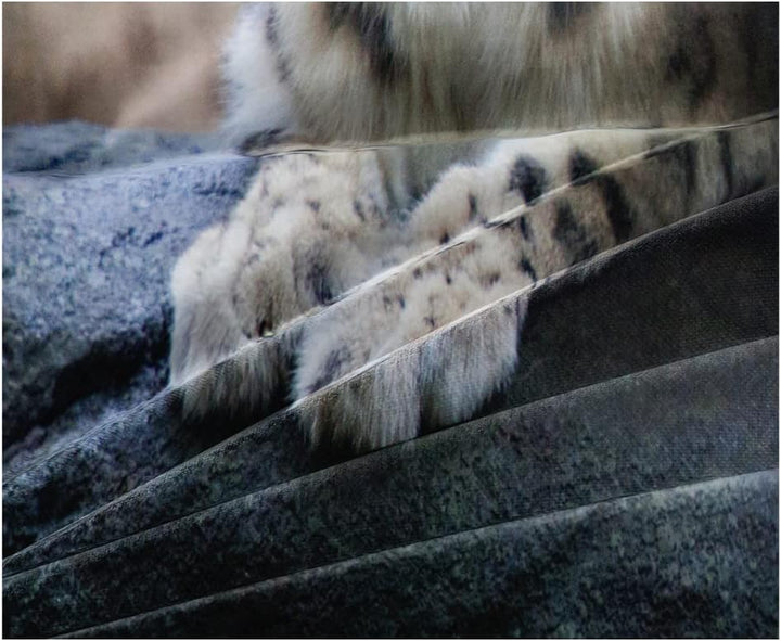 DXHOME Leopard Bettwäsche 220x240 3 teilig 3D Effekt Wildtier Berg Tiermotiv Bettzeug Weich Gemütlic