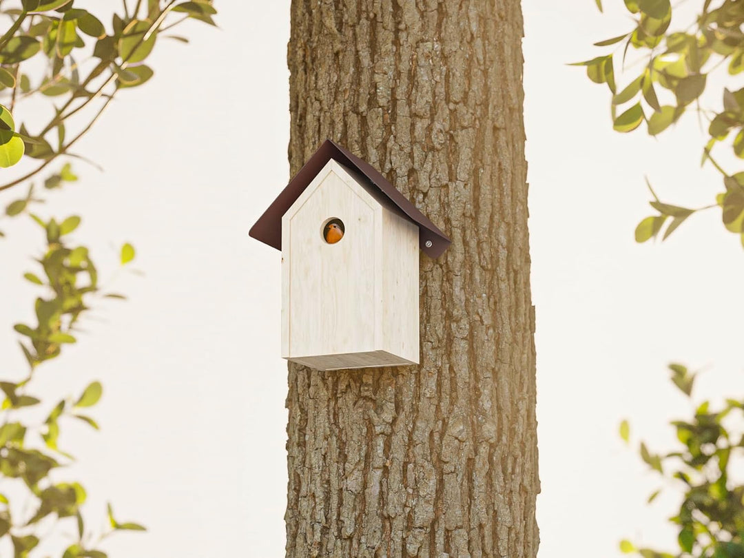Alberts 355227 Vogelhäuschen Schutzspitzdach | Vogelfutterhaus aus Stahl in verschiedenen Trendfarbe