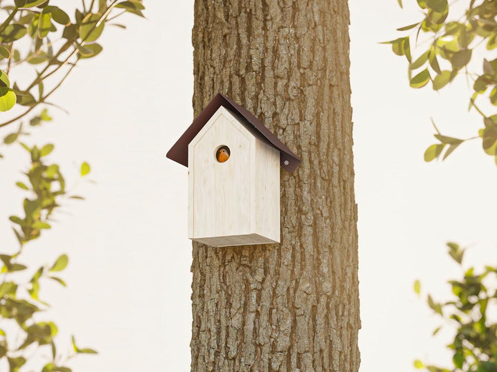 Alberts 355227 Vogelhäuschen Schutzspitzdach | Vogelfutterhaus aus Stahl in verschiedenen Trendfarbe