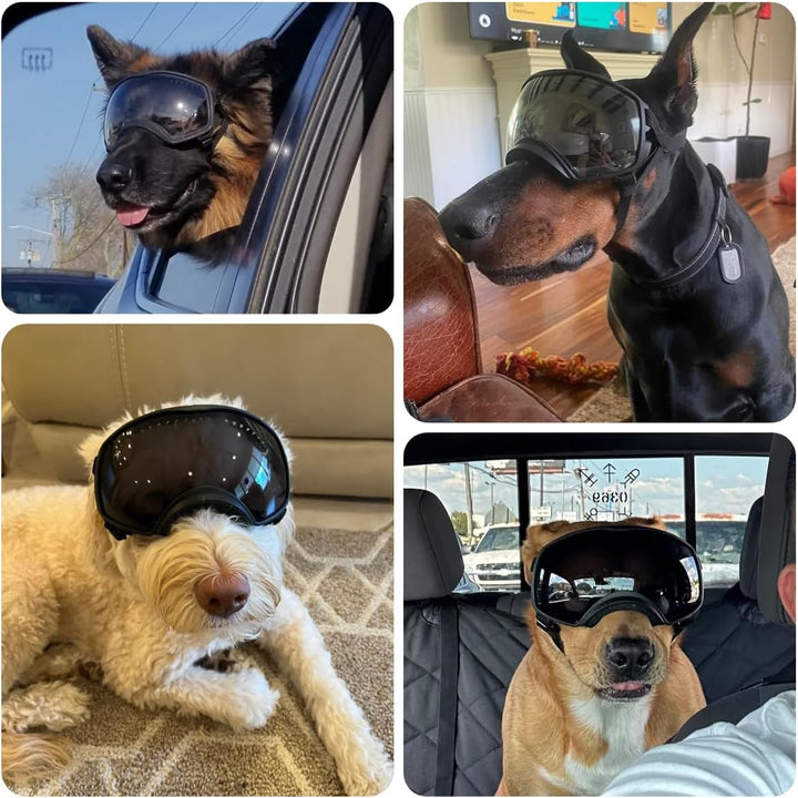PETLESO Hundebrille Winddichte Hunde Sonnenbrille Hund Schutzbrille mit Verstellbare Band Geeignet f