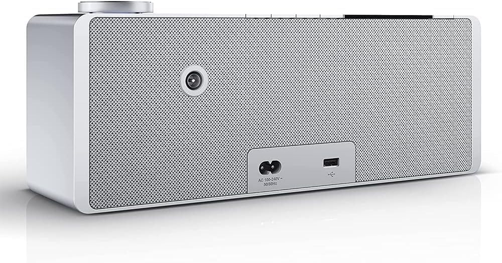 Loewe klang s1 Lichtgrau, Stereo Smartradio, 80 Watt, DAB, DAB+, UKW, Audio Streaming, Bluetooth, US