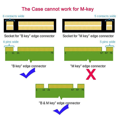 chenyang CY M.2 Msata SSD Adapter,2 in 1 Combo M.2 NGFF B-Key B/M-Key & Msata SSD to SATA 3.0 Adapte