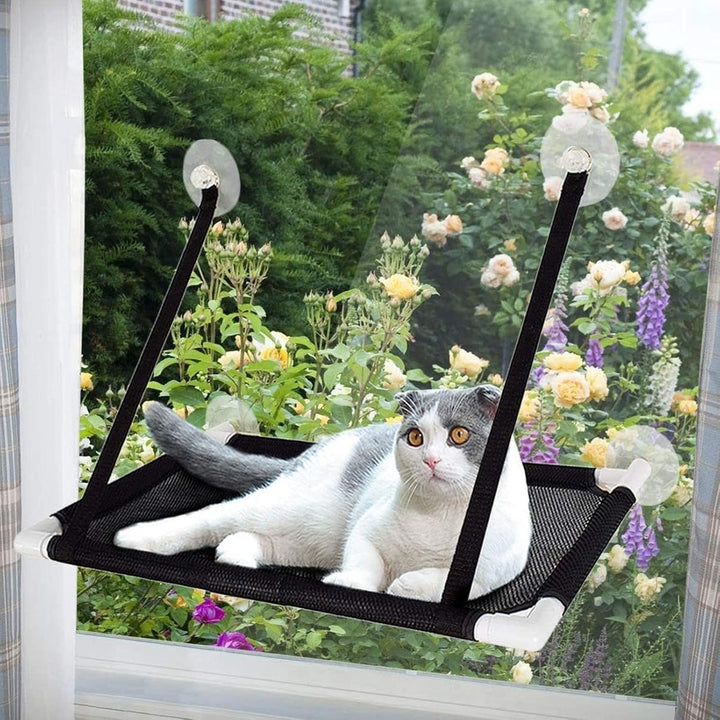 Qcwwy Saugnäpfe für Katzen-Hängematten, 8 Stück, Katzenfenster-Sitzstange, Katzenfensterbett, Ersatz